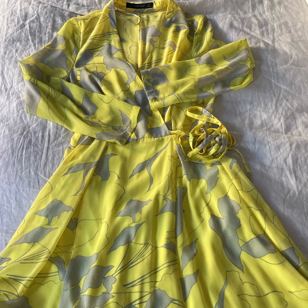 Zara dress